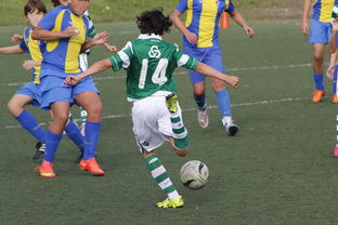 mk体育-女篮亚洲杯中国队力压日本夺冠，亚洲杯女子篮球赛中国对日本