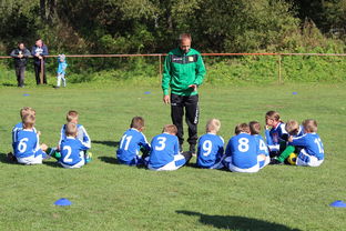 mk体育中国官网-瑞典团队战术：从快攻到慢球的多变打法，瑞典几分钟进球  第1张