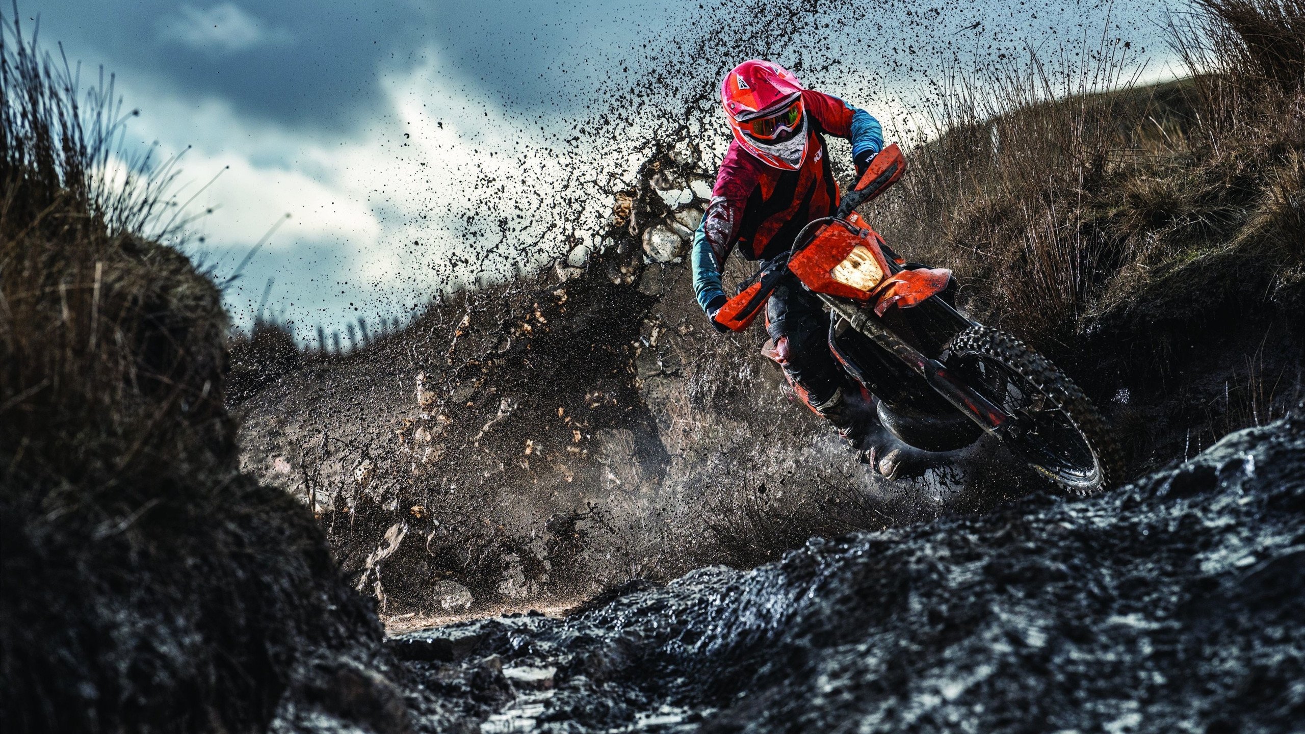 mk体育官网首页-凯恩·瑞安：高效的反击能力让全黑队更具威慑力，凯恩vshhh